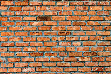 Image showing Brick Wall