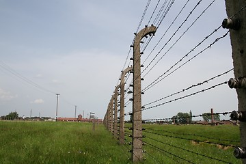 Image showing Birkenau barbed wire