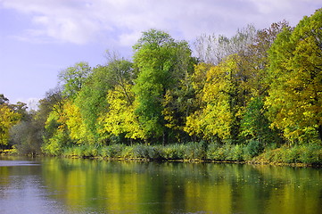 Image showing autumnal forest un der blue sky