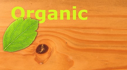 Image showing organic