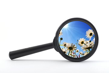 Image showing magnifying glass and flower