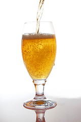 Image showing beer