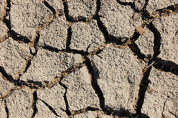 Image showing dry soil