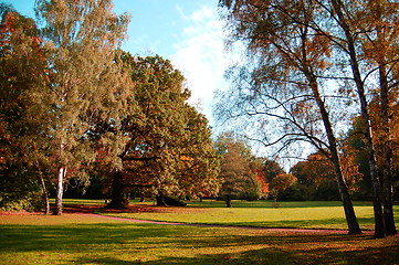 Image showing fall in the park with green trees under blue sky