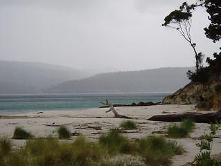 Image showing Beach 1