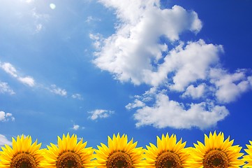 Image showing blue sky and sunflower