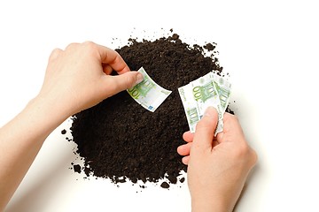 Image showing Hand planting Euro banknotes