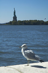 Image showing Statue of Liberty