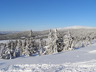 Image showing View towards Nevelfjell