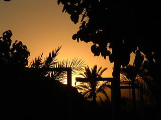 Image showing sunset