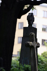 Image showing Graveyard Cross
