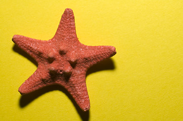 Image showing five-finger star
