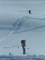 Image showing Skiing