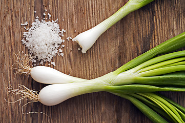 Image showing Spring onion