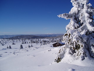 Image showing Winter Nordseter, Norway