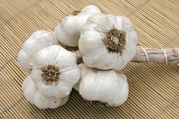 Image showing Braided Fresh Garlic