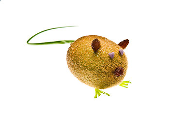 Image showing Kiwi Mouse