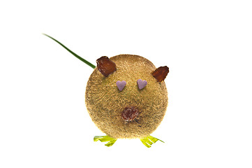 Image showing Kiwi mouse