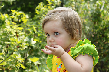 Image showing Little girl