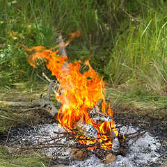 Image showing Bonfire in forest