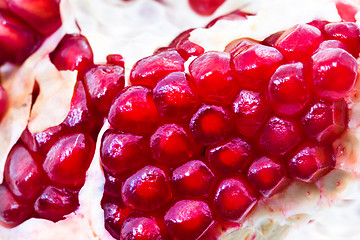 Image showing Pomegranate grains