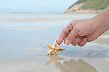 Image showing hand touching the starfish