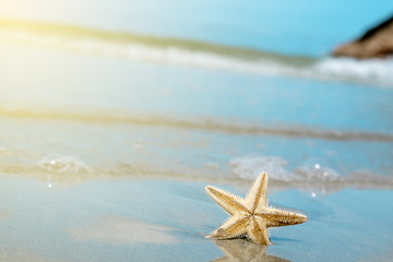 Image showing Starfish on the beach. Summer time 