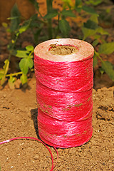 Image showing Pink coil on the soil
