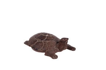 Image showing Tortoise