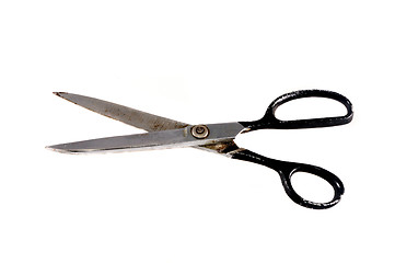 Image showing Scissors