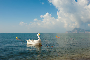 Image showing Swan pedal boat