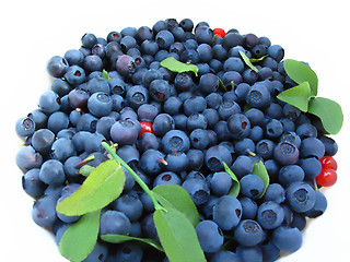 Image showing fresh blueberries