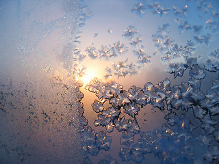 Image showing frost and sun