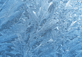 Image showing frosty natural pattern