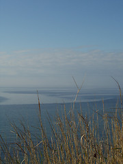 Image showing Grass by the sea