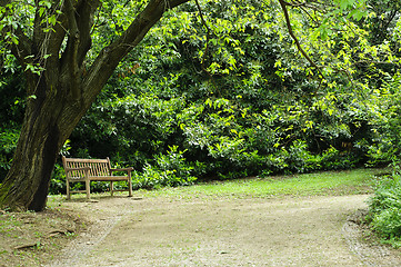 Image showing Empty bench in the park