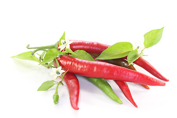 Image showing Chilis