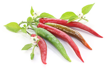 Image showing Chilis