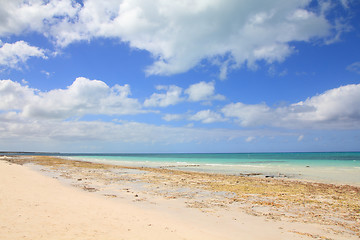 Image showing Cuba - tropical beach