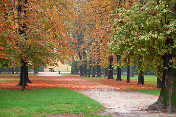 Image showing Autumn