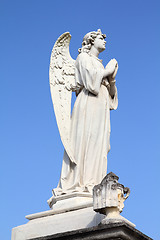 Image showing Angel sculpture
