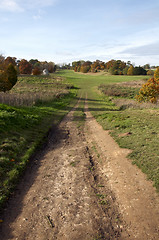 Image showing Autumn trees