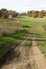 Image showing Autumn trees