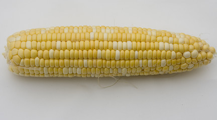 Image showing Fresh Corn