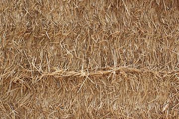 Image showing straw