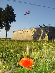 Image showing Flower and fortress