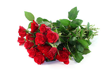 Image showing Roses