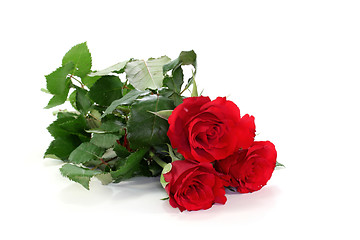 Image showing Roses
