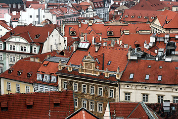 Image showing Old tiled roofs