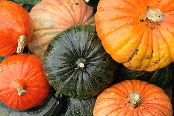 Image showing pumpkin background
